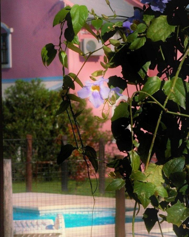 Talas De Apartahotel 2*